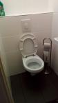 toilet holysingel