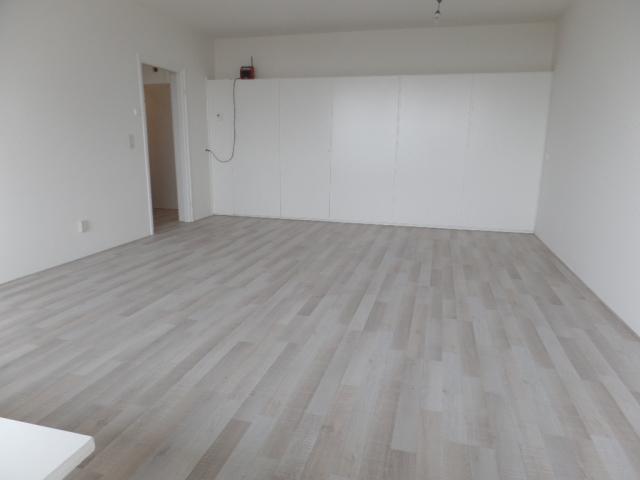 de woonkamer