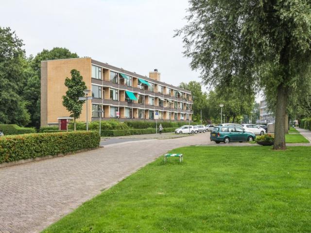 foto4