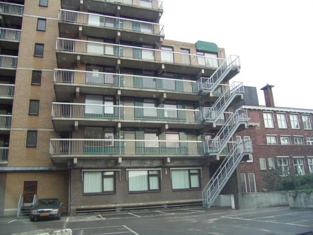 RIMG0035.sized